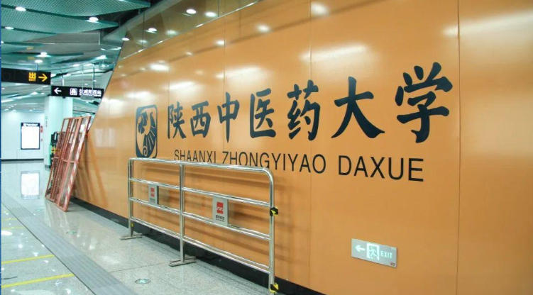 陕西中医药大学核心优势专业有哪些？