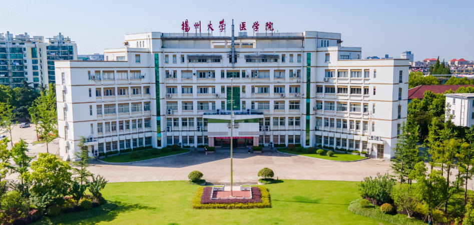 扬州大学的兽医专业在全国处于什么水平？