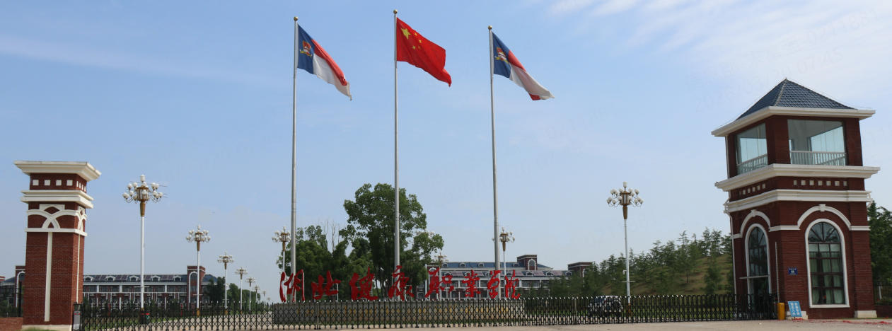湖北健康职业学院一年费用多少（2026参考）